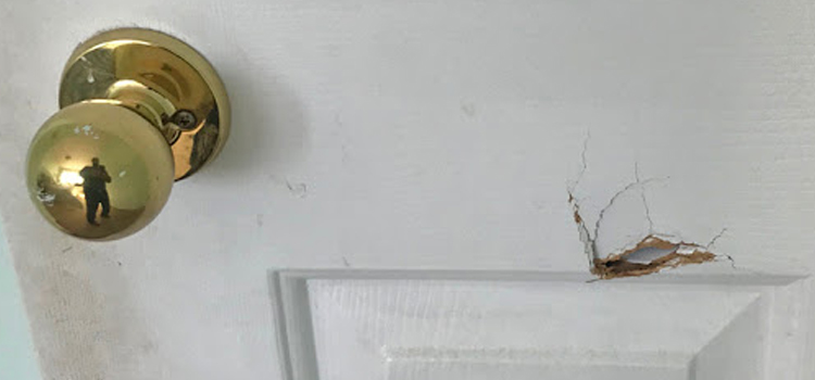 interior door hole repair Rosedale