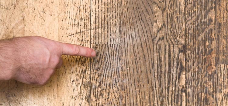 Wood Door Scratch Repair in Rosedale